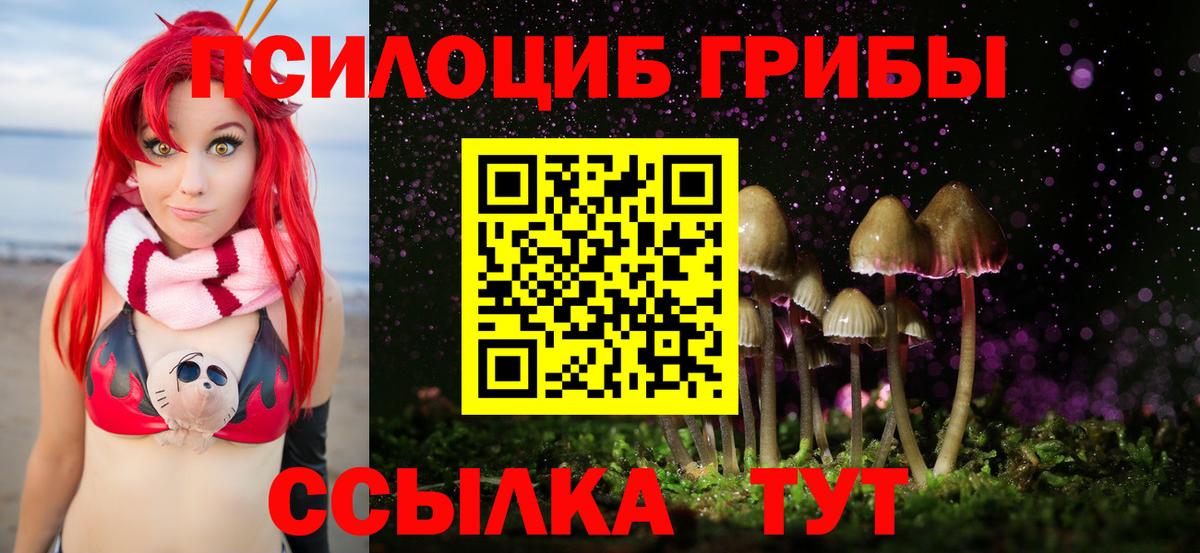 Каменка  Псилоцибиновые грибы Psilocybine cubensis  Вход с VPN  Псилоцибиновые грибы Cubensis 